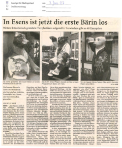 Bären in der Stadt