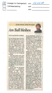 Fußball EM (6)
