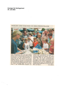 Steinstraßenfest (10)