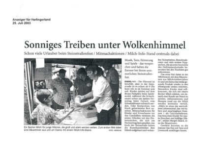 Steinstraßenfest (3)