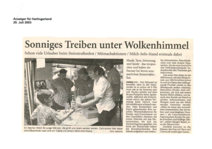 Steinstraßenfest (8)